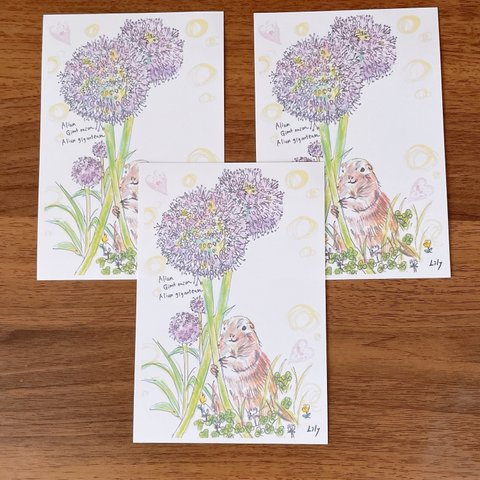 No.97 3枚セット　油性色鉛筆画　お花　動物　ポストカード