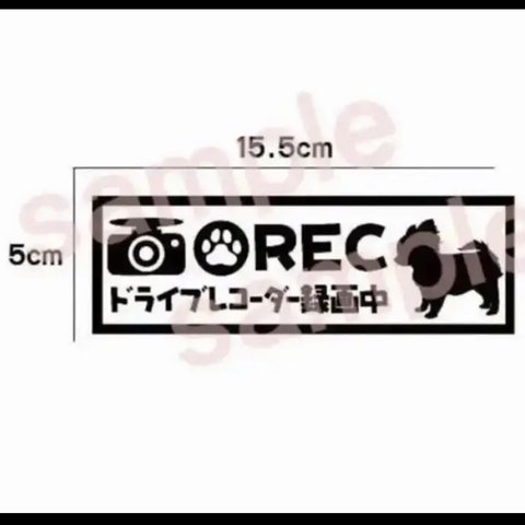 ちわわ チワワ ドライブレコーダー ステッカー 犬 リアガラス 車 シルエット REC ドラレコステッカー