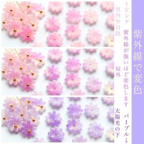 オリジナル★変色するコスモス　菊　ガーベラ　お花パーツ　ピンクグラデーション→パープルグラデーション