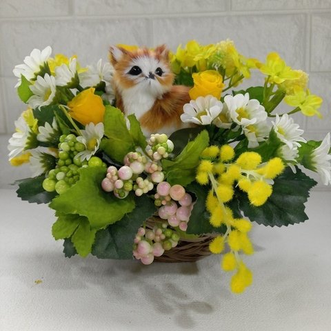 花と猫🐈