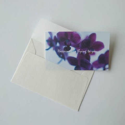 胡蝶蘭　メッセージカード+封筒　２枚組