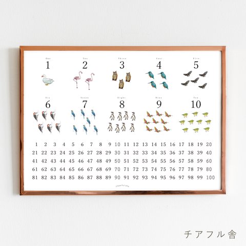 【鳥と野鳥・数字ポスター】100までの数字表　（A3サイズ）