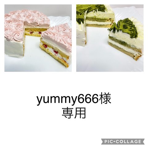 yummy666様専用　低糖質ホールケーキ