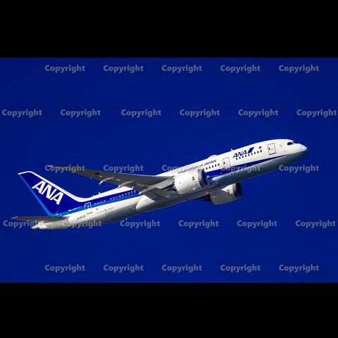 ★飛行機画像 No,H-0035「全日空/ANA　B787-8　Dreamｌiner」JPEGデータ★