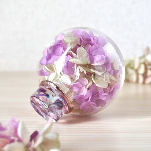 紫陽花の万華鏡「かさねのいろめ」