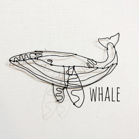 シロナガスクジラ② ワイヤーアート　立体　壁掛け【受注販売】クジラ くじら 鯨 ホエール whale WHALE wireart wirecraft 針金
