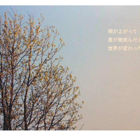 言葉×写真 ポストカード5枚組「僕と君と世界と」