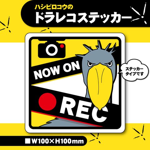 【ハシビロコウのドラレコステッカー】ドライブレコーダー カーステッカー防犯