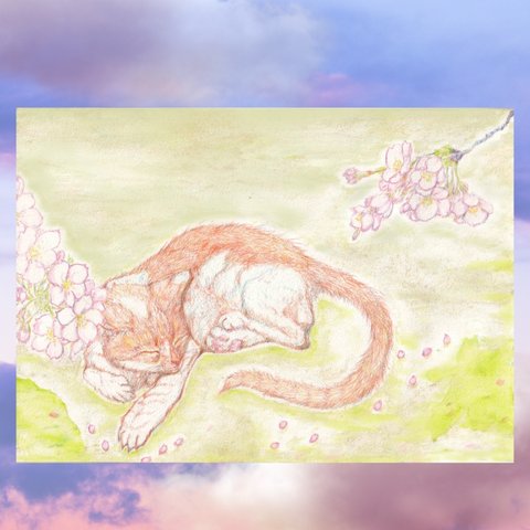 『桜・眠り猫』ポストカード