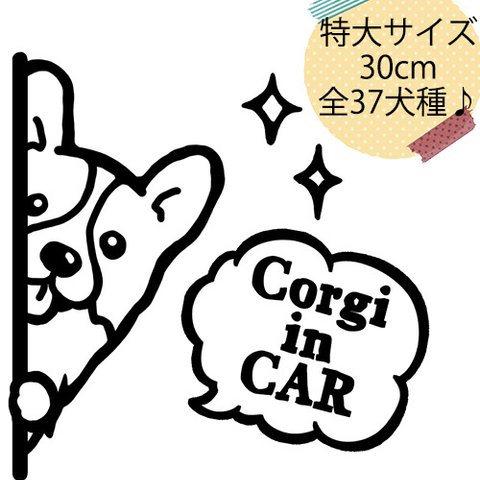 (特大サイズ)ちらりincarステッカー【全37犬種】