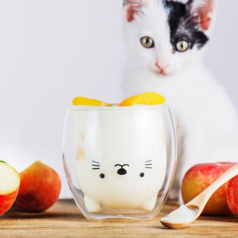 ダブルウォールグラス『ねこ』ホットドリンクOK☆猫の日