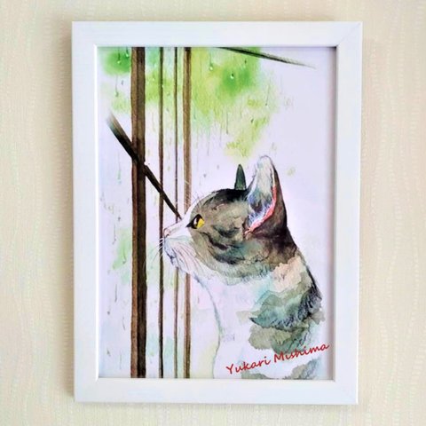 イラストフレーム「窓の外を雨を眺める猫の横顔」みしま ゆかり A4判 2way