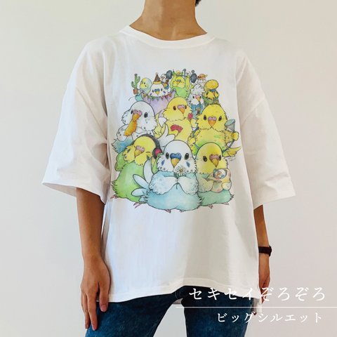 ビッグTシャツ｜セキセイぞろぞろ。