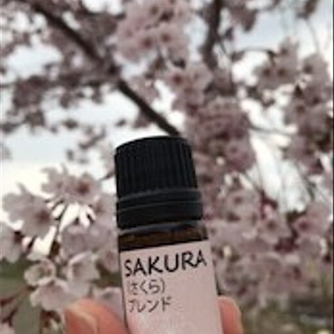 【限定】SAKURA（さくら）ブレンド　アロマオイル（5ml）