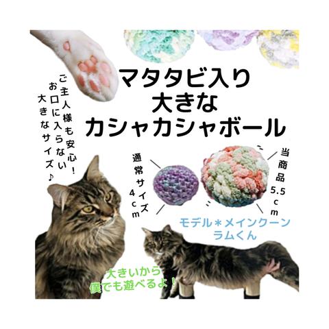 ２玉入り☆マタタビ入り大きなカシャカシャボール  おもちゃ メインクーン 猫