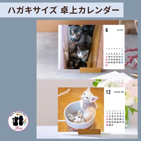 保護猫　チャリティーカレンダー　　卓上　木製スタンド付き