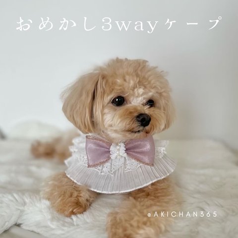 おめかし3wayケープ（誕生日、つけ襟、スタイ、犬、猫、うさぎ、ベビークラウン