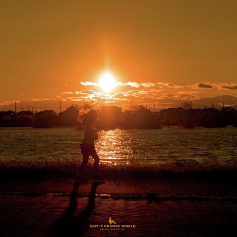 夕陽とともに帰る