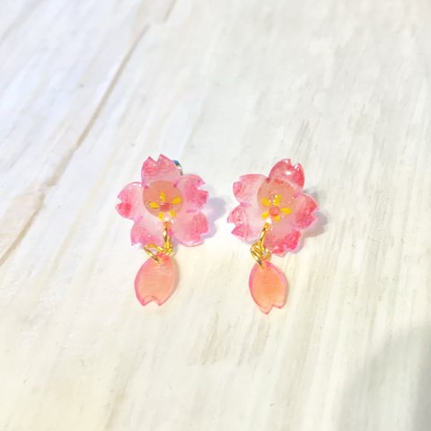 桜と花びら