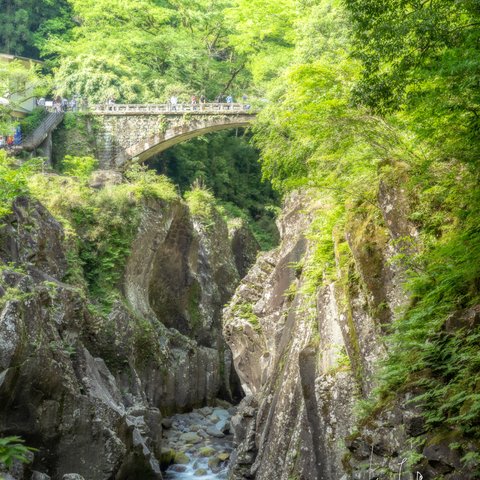  【高波動壁掛け写真】生きる喜び全紙サイズ