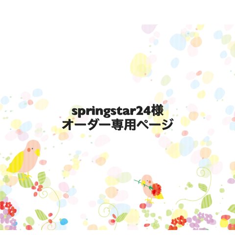 springstar24様オーダー専用ページ