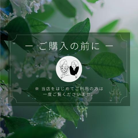 〈ご購入前に〉※はじめての方は必ずお読みください※