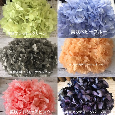 新色美咲入荷❣️ハーバリウム花材プリザーブドフラワー紫陽花6色小分け