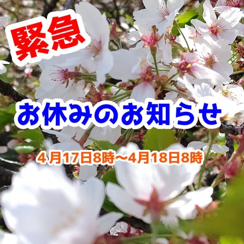 お休みのお知らせ(4月17日8時～4月18日8時)