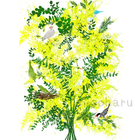 ミモザの花束と小鳥たち インテリアポスター A4