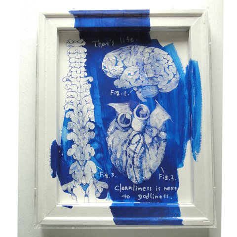 脳・心臓・脊髄の青い絵画 アート 原画 アクリルフレーム ペン画 科学 理科