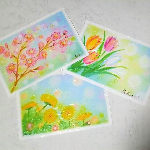 春の花３種の絵葉書(和紙)　桜・チューリップ・たんぽぽ　パステルアート