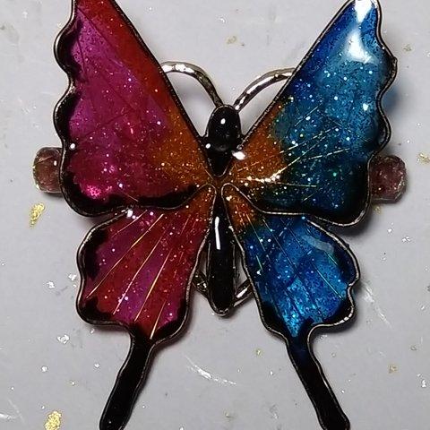 2色の羽を持つ蝶