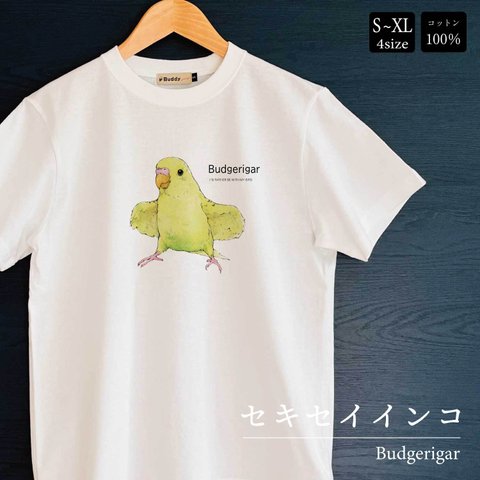 Tシャツ｜セキセイインコBudgerigar