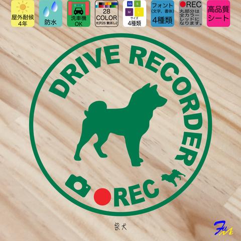 柴犬 ⑦ ドライブレコーダー ステッカー ドラレコ