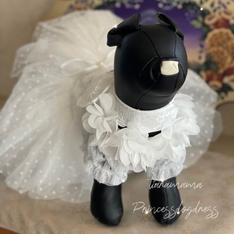 【在庫限り】おしゃれdressハーネス　リード　首輪　犬用品　猫　ペット用品