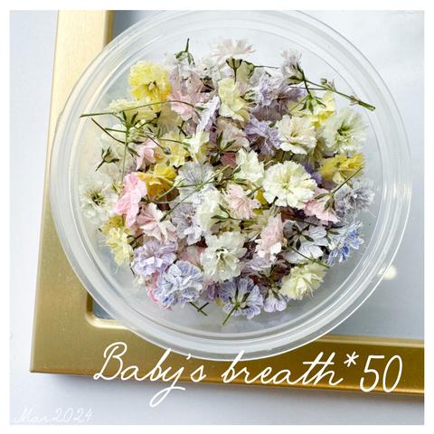 baby’s breath*50