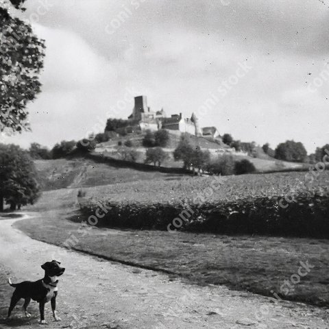 フランスの田舎のイメージ、お城、犬、レトロ、モノクロ、アート、古びた写真　conistock_20601_03