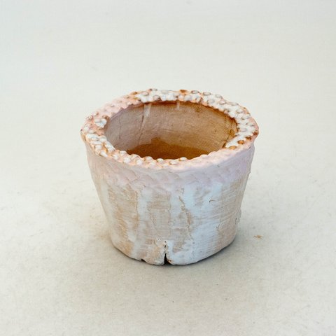 陶器製（２号ポット相当）　多肉植物の欲しがる植木鉢 PRc-ピンク6386