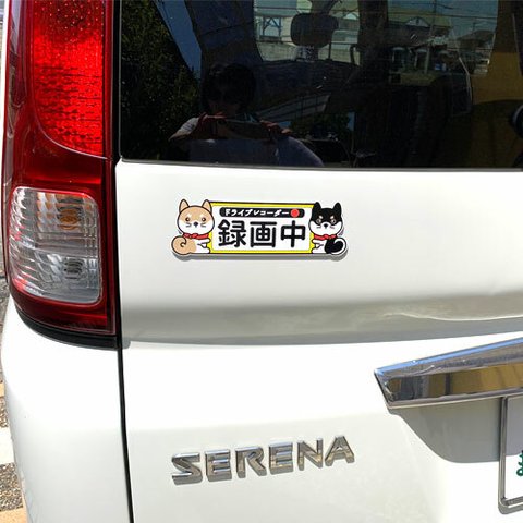  柴犬マグネットステッカー ドライブレコーダー録画中マグネット