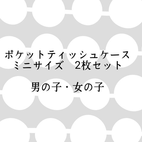 ポケットティッシュケース　ミニサイズ　2マイセット