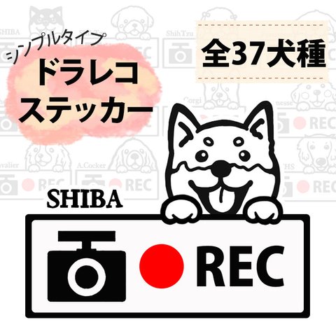 ドライブレコーダー(小)ステッカー　全37犬種　ドラレコ