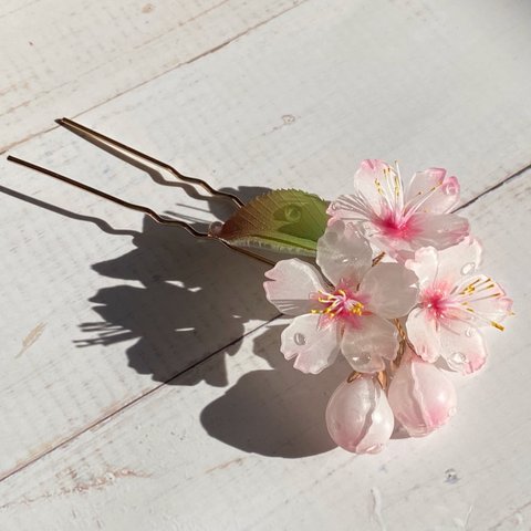 ソメイヨシノ桜のUピンかんざし 朝露付き