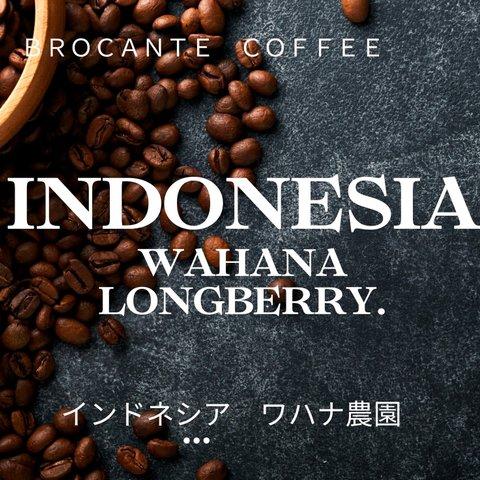 《送料無料》珈琲焙煎所のコーヒー豆（インドネシア・200g）