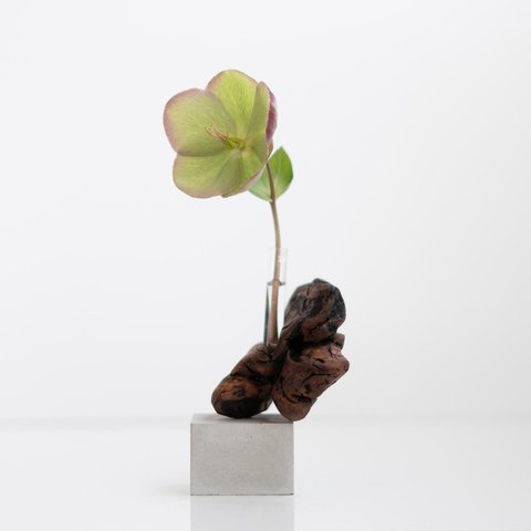 流木一輪挿し | driftwood flowervase | tane no.3