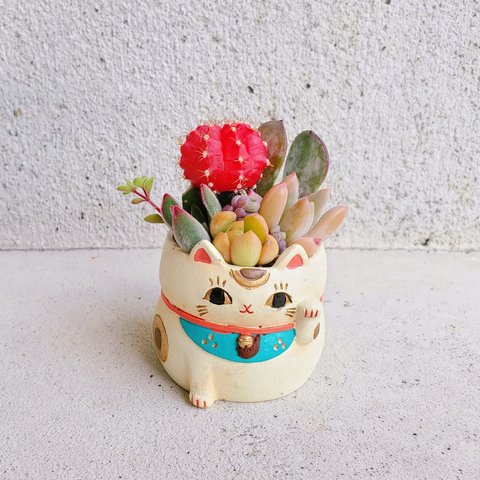 売約👏🏻  ̖́-完成品♡即日発送可🆕華やぐ乙女系招き猫の寄せ植え♡緋牡丹入り🍓