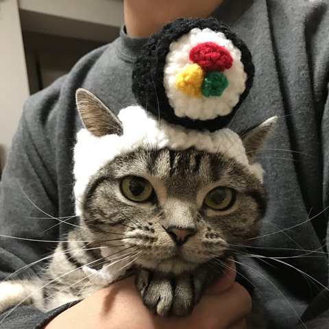 再販！猫用帽子 巻き寿司