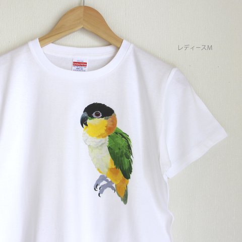 p-jet　ズグロシロハラインコ Tシャツ　 / 鳥　インコ　シロハラインコ 