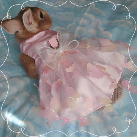 フェアリーピンクドレス ペット服 ハーネス