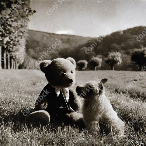 フランスの静かな田舎のイメージ、クマのぬいぐるみと見つめ合う犬、穏やかな風景、レトロ風写真、モノクロ、アート、古い写真　conistock_41092_01