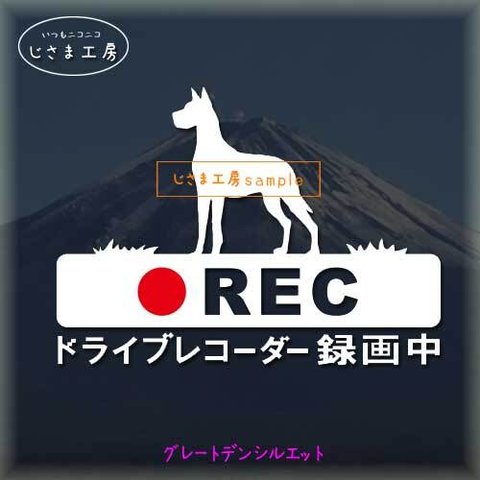 グレートデンの白色シルエットステッカー煽り運転ドライブレコーダー録画中‼